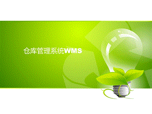 仓库管理系统WMS.ppt