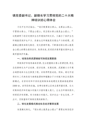 镇党委副书记、副镇长学习贯彻党的二十大精神培训班心得体会三篇模板.docx