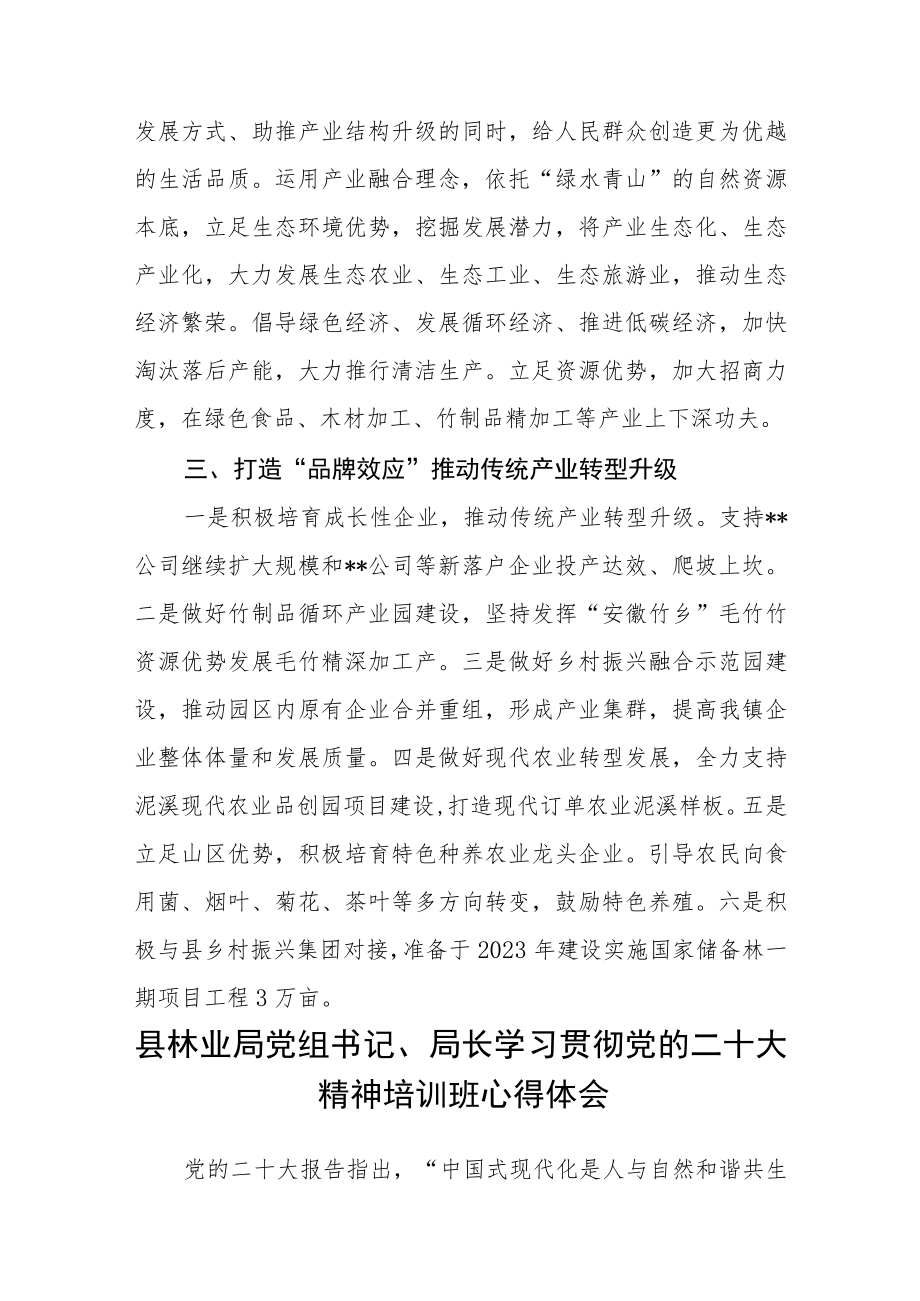 镇党委副书记、副镇长学习贯彻党的二十大精神培训班心得体会三篇模板.docx_第2页