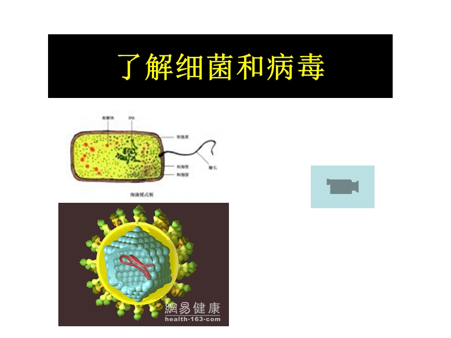 传染病(课件).ppt_第2页