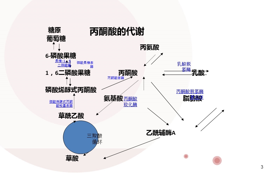 乳酸与重症医学ppt课件.ppt_第3页