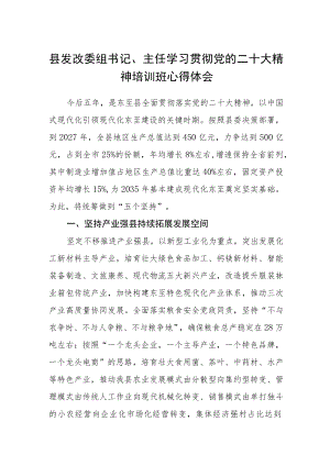 县发改委组书记、主任学习贯彻党的二十大精神培训班心得体会三篇模板.docx