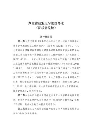 湖北省就业见习管理办法（征-全文及附表.docx