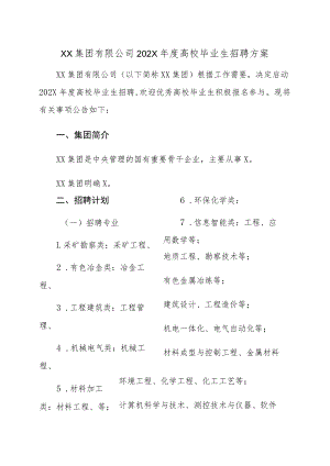 XX集团有限公司202X年度高校毕业生招聘方案.docx