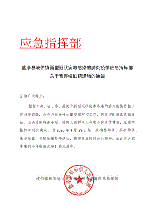 盐亭县岐伯镇新型冠状病毒感染的肺炎疫情应急指挥部.docx