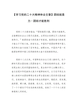 【学习党的二十大精神体会文章】团结就是力量 团结才能胜利.docx