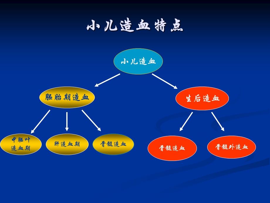 临床医学概论PPT课件.ppt_第3页