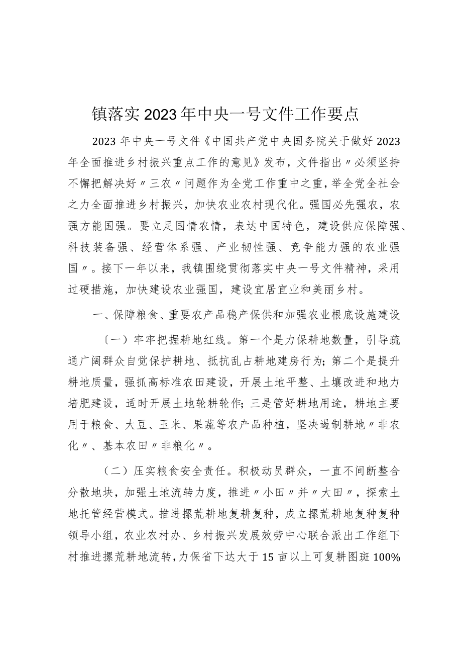 镇落实2023年中央一号文件工作要点.docx_第1页