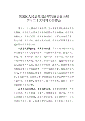 某某区人民法院综合审判庭法官助理学习二十大精神心得体会.docx