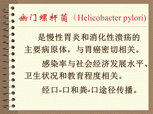 医学微生物学幽门螺杆菌课件.ppt