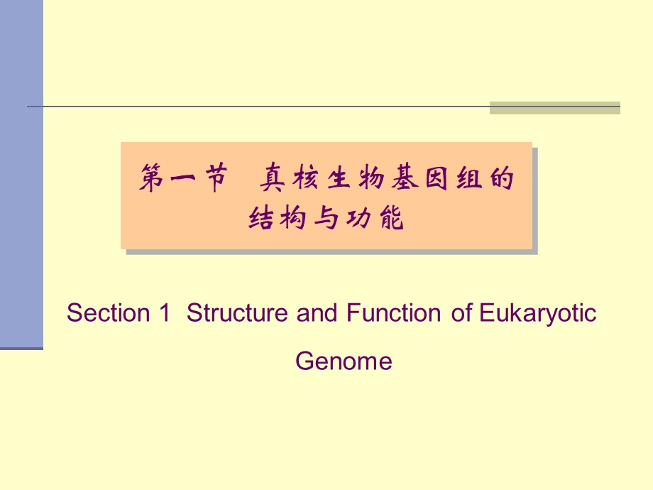 医学分子生物学(课件).ppt_第3页