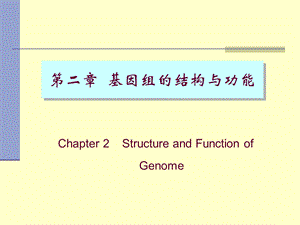 医学分子生物学(课件).ppt