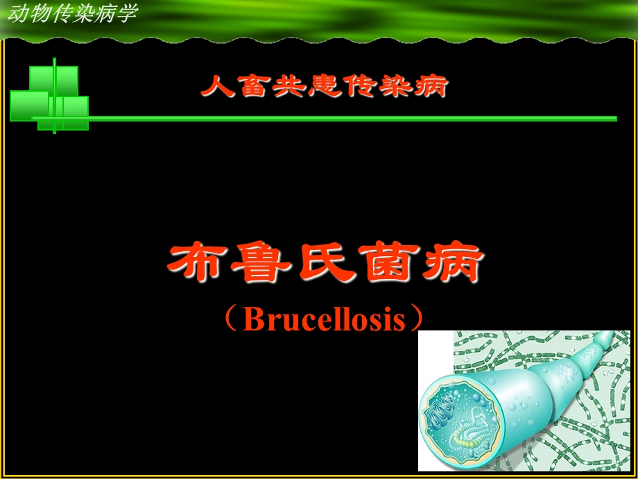 动物医学课件：布病.ppt_第1页