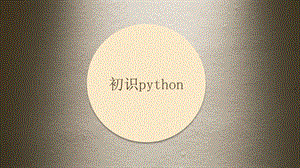 初中信息技术初识python课件.ppt