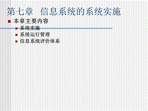 信息系统的系统实施.ppt