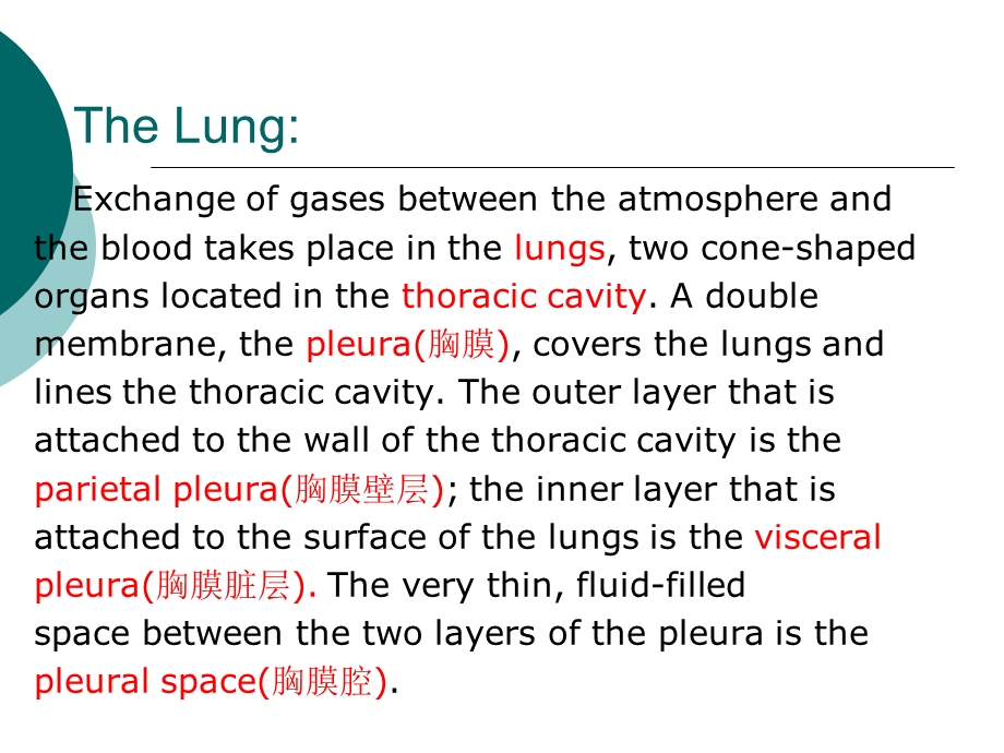 医学英语呼吸系统PPT课件.ppt_第3页