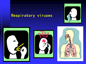 医学微生物学课件.ppt