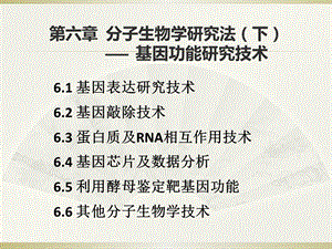 分子生物学第6章+分子生物学研究方法(下).ppt