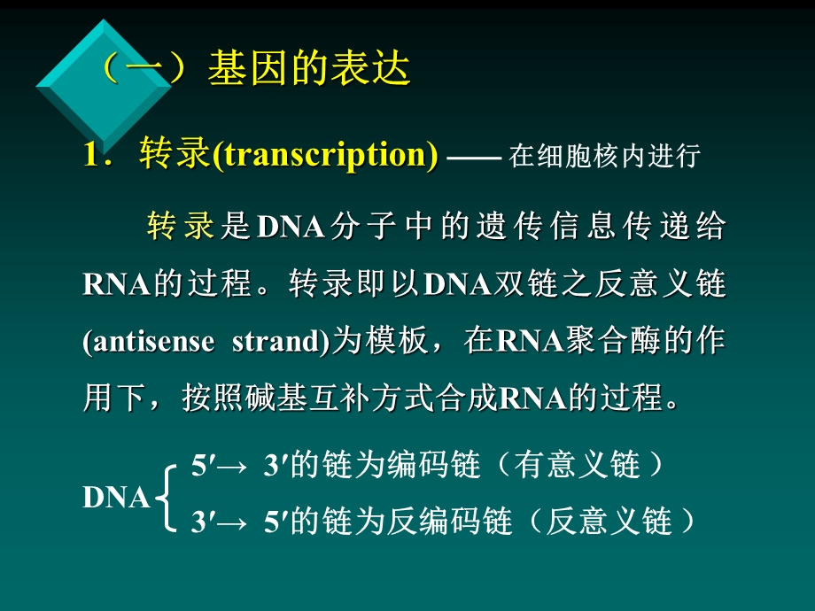 医学生物学7.ppt_第3页