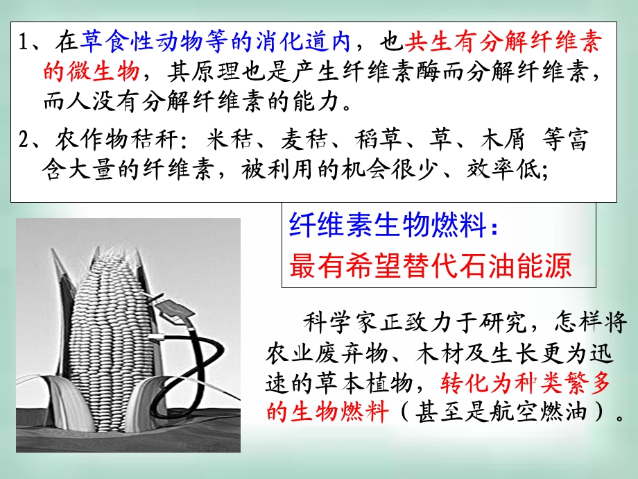 分解纤维素的微生物的分离.ppt_第2页