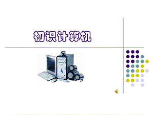 初识计算机(课件).ppt