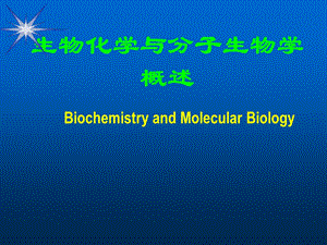 分子生物学概论.ppt