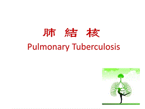 医学PPT课件：肺结核.ppt