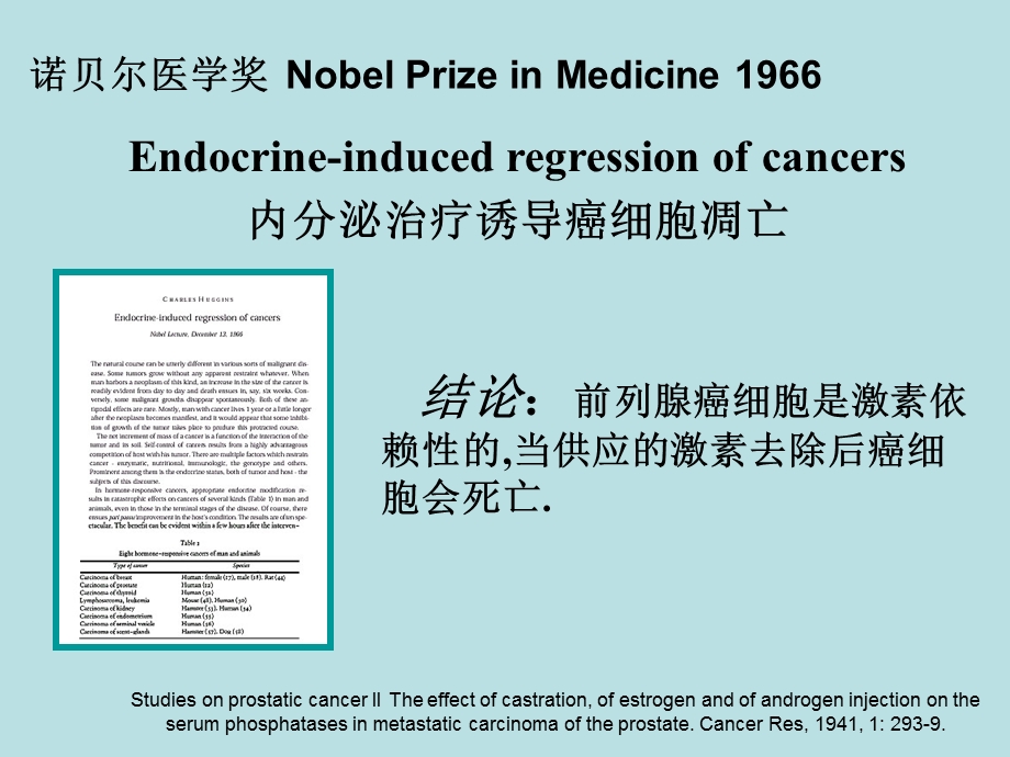 医学课件前列腺癌的内分泌治疗.ppt_第3页