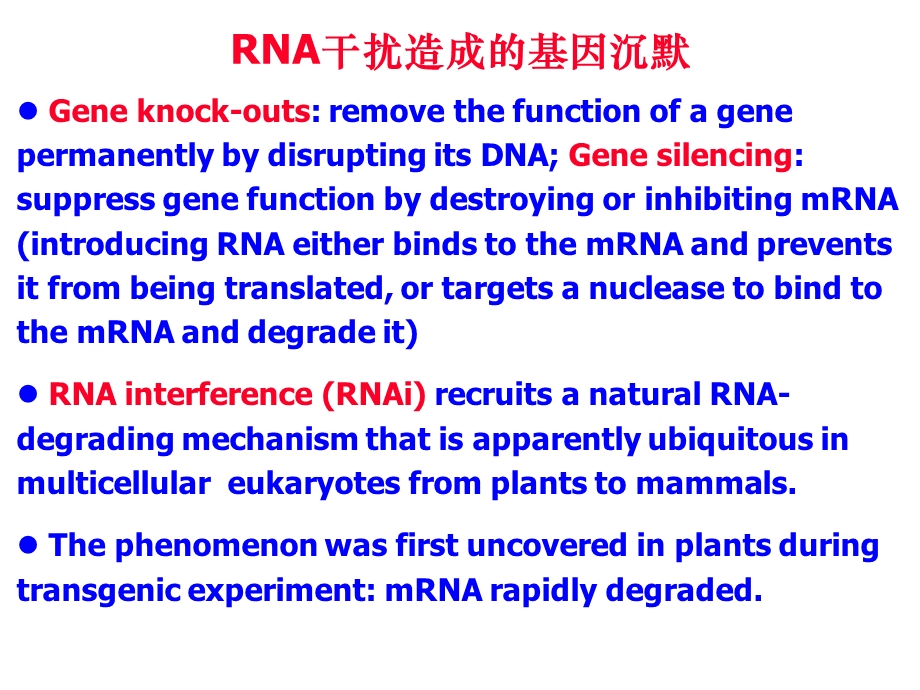 发育生物学——microRNA.ppt_第2页