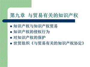 国际贸易与贸易有关的知识产权.ppt