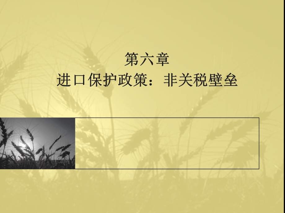 国际贸易第六章.ppt_第1页