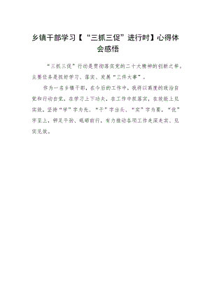 乡镇干部学习【“三抓三促”进行时】心得体会感悟范文.docx