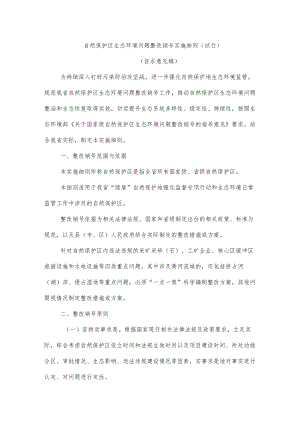 自然保护区生态环境问题整改销号实施细则（试行）.docx