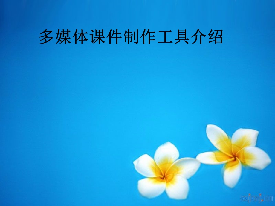 多媒体课件制作工具.ppt_第1页