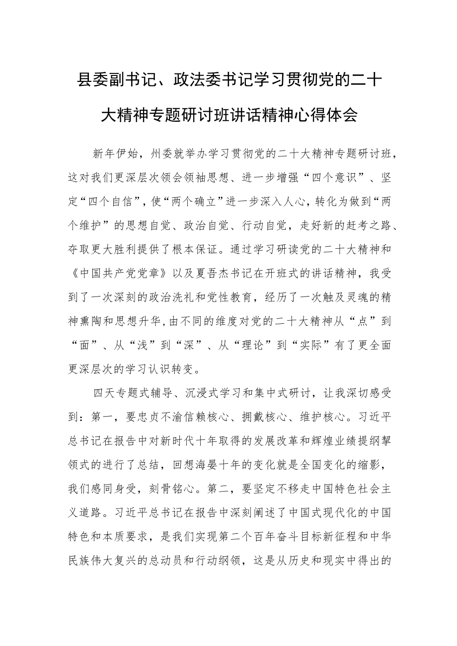 县委副书记、政法委书记学习贯彻党的二十大精神专题研讨班讲话精神心得体会.docx_第1页