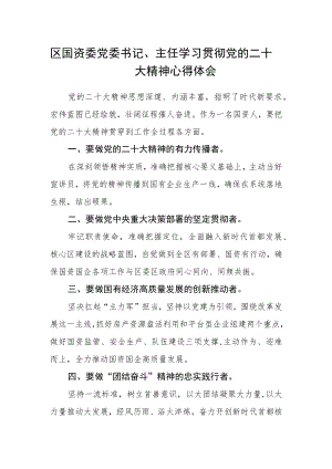 区国资委党委书记、主任学习贯彻党的二十大精神心得体会.docx