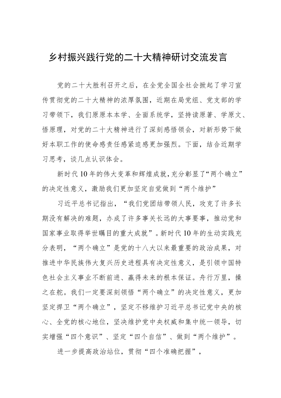 乡村振兴践行党的二十大精神研讨交流发言.docx_第1页