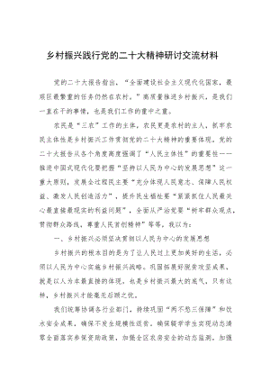 乡村振兴践行党的二十大精神研讨交流材料.docx