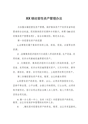 XX镇经营性资产管理办法.docx