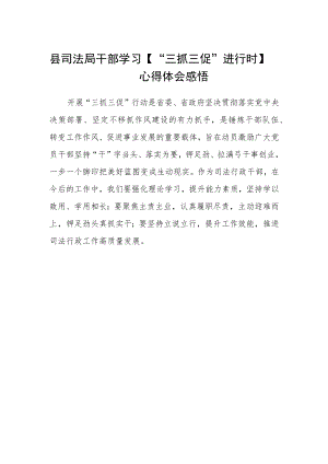 县司法局干部学习【“三抓三促”进行时】心得体会感悟.docx