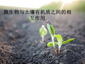 土壤微生物与有机质.ppt