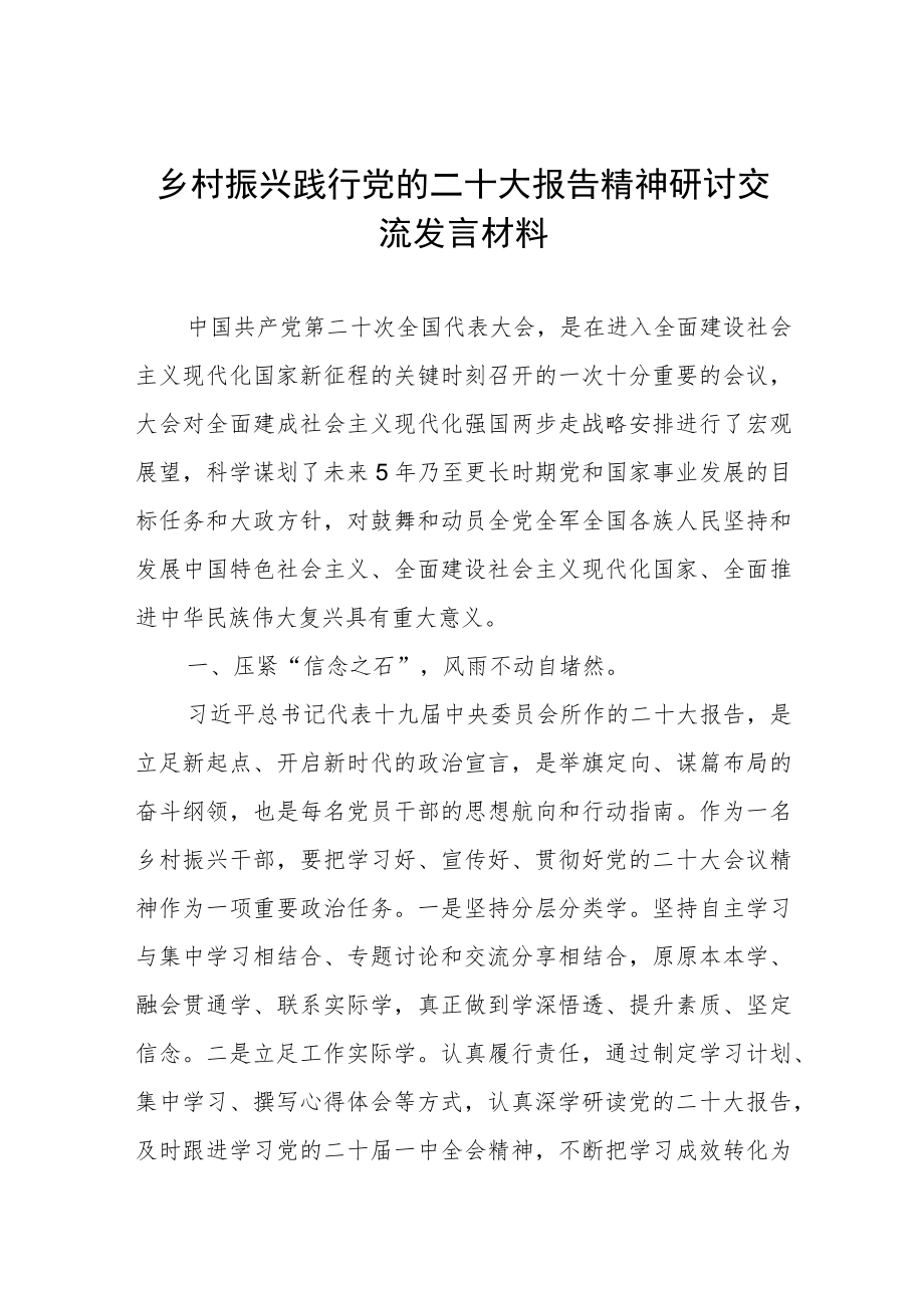 乡村振兴践行党的二十大报告精神研讨交流发言材料.docx_第1页