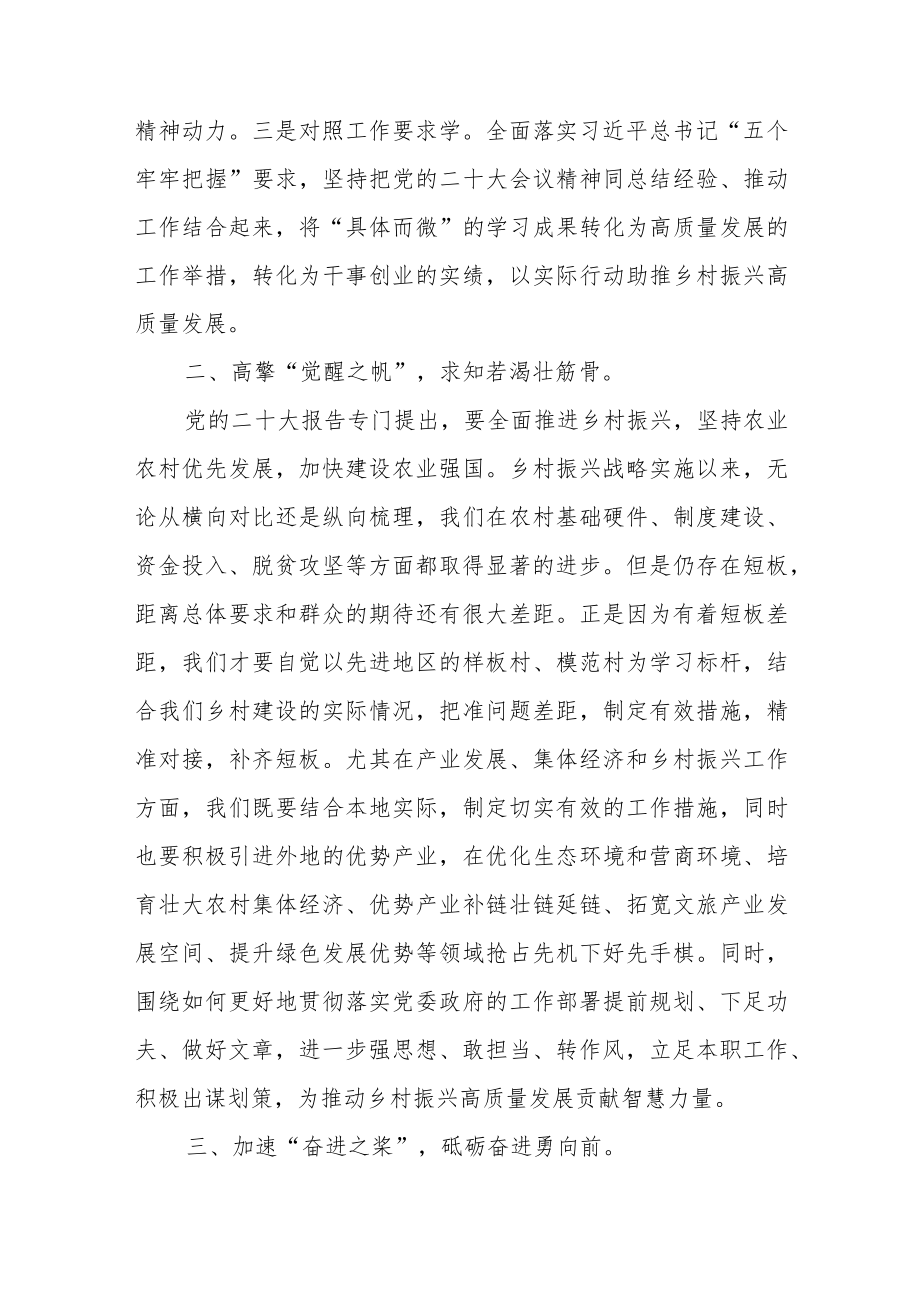 乡村振兴践行党的二十大报告精神研讨交流发言材料.docx_第2页