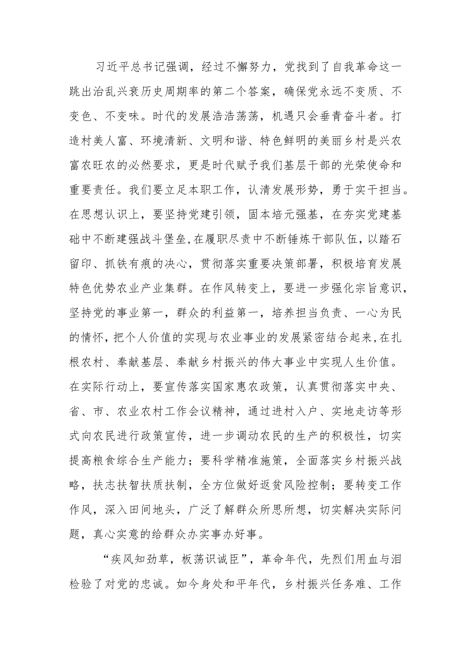 乡村振兴践行党的二十大报告精神研讨交流发言材料.docx_第3页