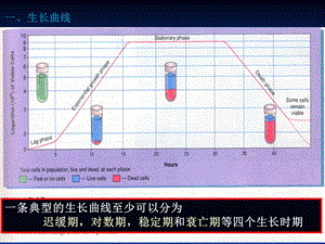 微生物的生长规律.ppt