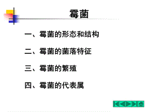 微生物(霉菌).ppt