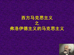 弗洛伊德主义的马克思主义.ppt