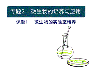 微生物的实验室培养公开课.ppt