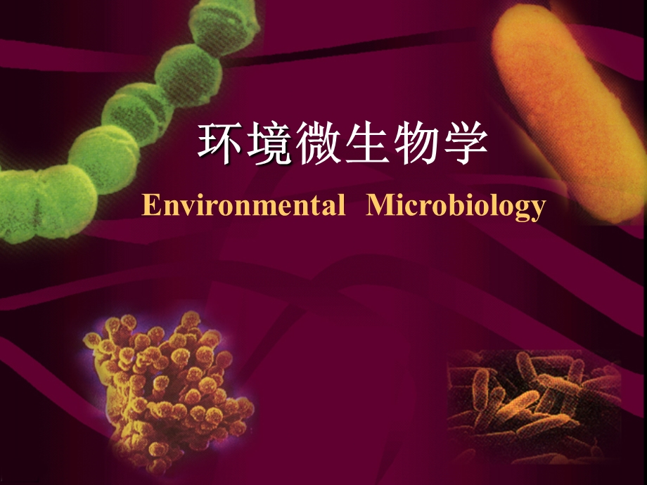 微生物分类学.ppt_第1页