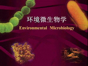 微生物分类学.ppt